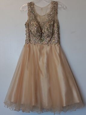 Vintage L.A. Merchandises Sleeveless Embellished Tulle Dress in Champagne